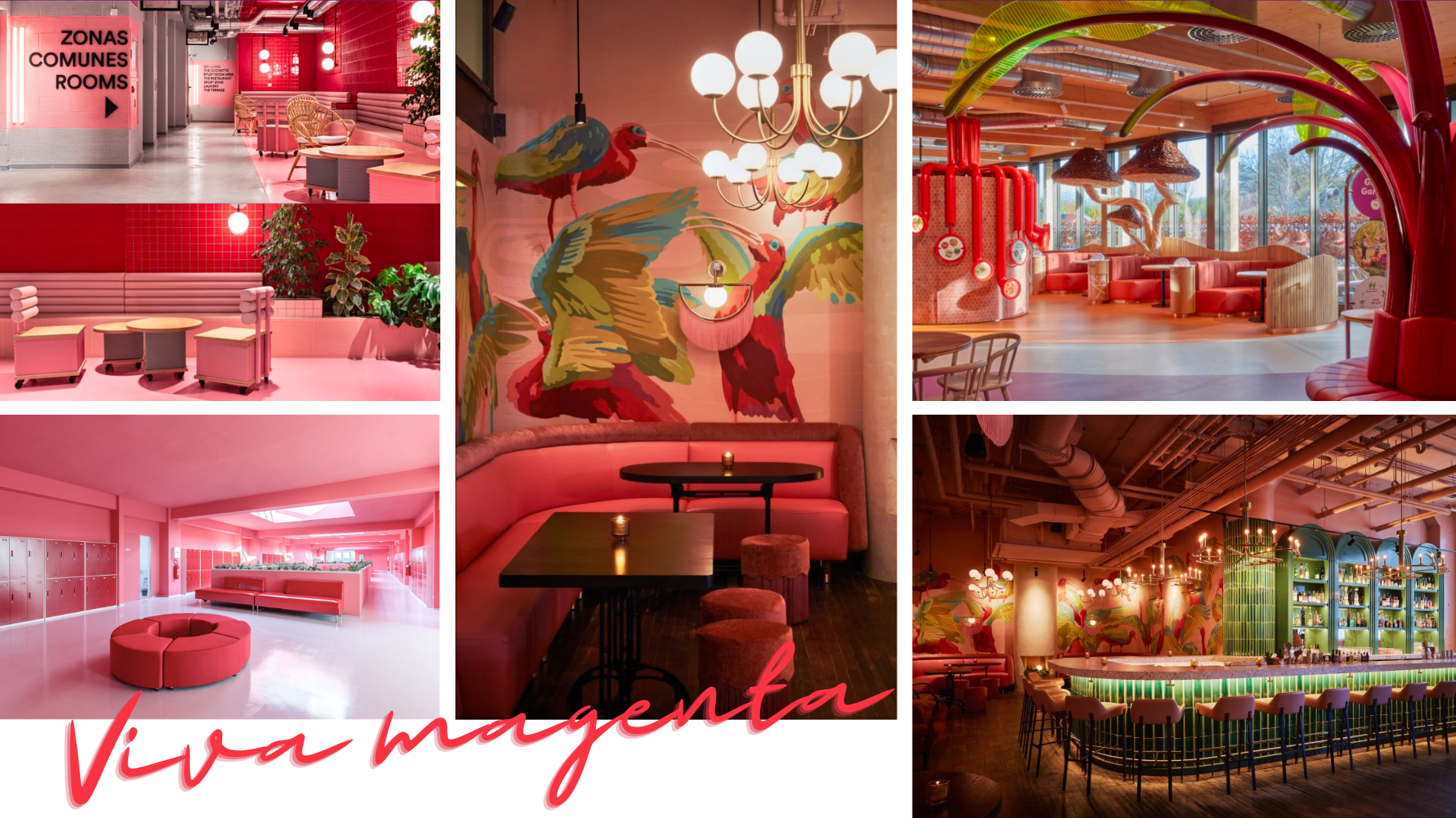 sac do viva magenta xu huong thiet ke noi that 2023 1